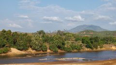 REMOADI_Albert_Mada-1