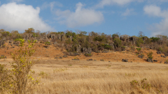 REMOADI_Albert_Mada-2