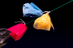 de CUSSY Bruno, de CUSSY Bruno -sacs, couleur, minimalisme