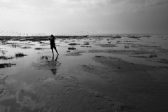 de CUSSY Bruno, de- CUSSY_Bruno_Baie-de-Somme, monochrome, paysage