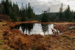 de CUSSY Bruno, de- CUSSY_Bruno_Bergen-tourbiere, couleur, paysage