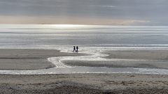 RIPOLL Anne, l'entrant gris, couleur, street