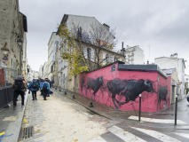 Bourdallé Jean-Jacques, Deux troupeaux, couleur , street