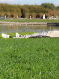 DUBIEF Monique, Dormeur du grand canal, couleur, street
