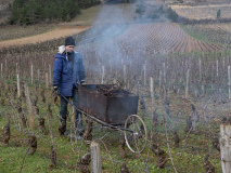 DUBIEF Monique, brulage de sarments, couleur, street