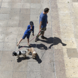 Lavelle Frédéric, caniches_1, couleur, street