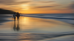 Le Bourhis Josette, Normandie, couleur, paysages