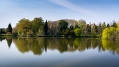 CHAPEL_Martine_reflets-a-Chevreloup