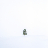 chanu christine, Photos pour concours  'minimalisme', couleur, minimaliste