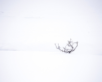 chanu christine, Photos pour concours  'minimalisme', couleur, minimaliste
