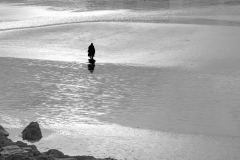 FEDERLE Didier, Maree basse Bretagne, couleur, minimaliste