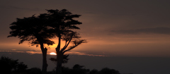 Hervieu Isabelle, soleil couchant, couleur, paysages