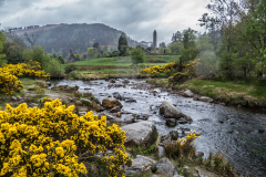 Le Bourhis Josette, Glendalough, couleur, paysages