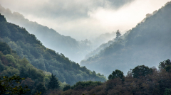 Le Bourhis Josette, Brume, couleur, paysages