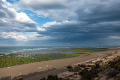 Le Bourhis Josette, Phoques, couleur, paysages