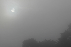 PARENT_Benoit, brume et soleil, monochrome, paysages