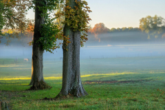 PARENT Benoit, brume matinale, couleur, paysages