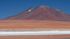 REMOADI Albert, Atacama argentin, couleur, paysages