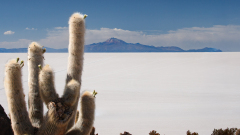 REMOADI Albert, Incahuasi, couleur, paysages