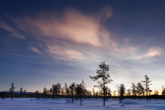 REMOADI Albert, Muonio-11h15, couleur, paysages