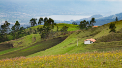 REMOADI Albert, Sur le volcan, couleur, paysages