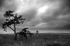 WINTERHALTER François, Arbre-et-carrelet NB,  monochrome, paysages
