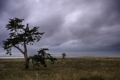 WINTERHALTER François, Arbre et carrelet, couleur, paysages