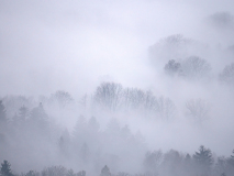 WINTERHALTER François, Douceur de brumes, monochrome, paysages