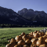 WINTERHALTER François, Les citrouilles du Neuschwanstein, couleur, paysages
