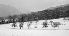 WINTERHALTER François, Ronde sous la neige, monochrome, paysages