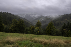 WINTERHALTER François, Schwarzwald d'automne, couleur, paysages