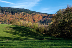 WINTERHALTER François, Voirons d'automne, couleur, paysages