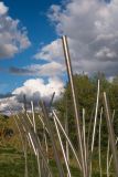 de CUSSY Bruno, de CUSSY-Bruno_Tuyaux-orageux, couleur, paysages