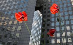 Coudun jean-Luc, Coquelicots, couleur ,  paysage urbain