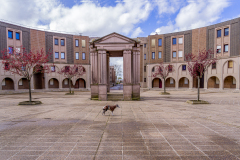 KASTL Günther chat & chien couleur animalier