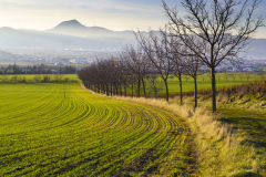 CHAPEL Martine, Campagne Clermontoise, couleur, Paysage