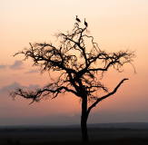 GAUBIN SYLVIE, KENIA, couleur, Paysage