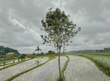 GAUBIN SYLVIE, RIZIERES, couleur, Paysage
