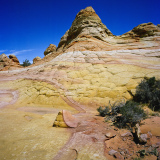 MUSSET Franck, Coyote , couleur, Paysage