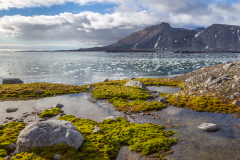 Remoadi Albert, Svalbard, couleur, Paysage