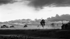 de CUSSY Bruno, de- CUSSY_Bruno_Brume, monochrome, Paysage