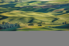 BEAU-Roger_Stepto-butte