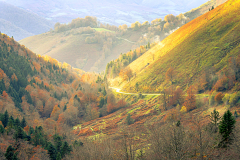 Fournier_Laurence_Pyrenees