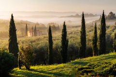 Fournier_Laurence_Toscane