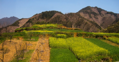 GARDON_Jocelyne-Couleurs