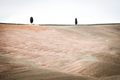 GATE_Nathalie_Crete-toscane