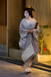 REMOADI_Albert_Regard-de-Kyoto