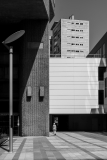 Robin_Sylvie-Beaugrenelle-Paris