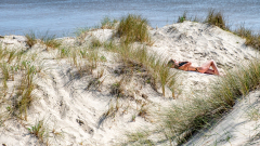 DUBIEF Monique, Serenité dans les dunes, couleur , street