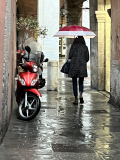 GALIMARD JD PISE 3 couleur street